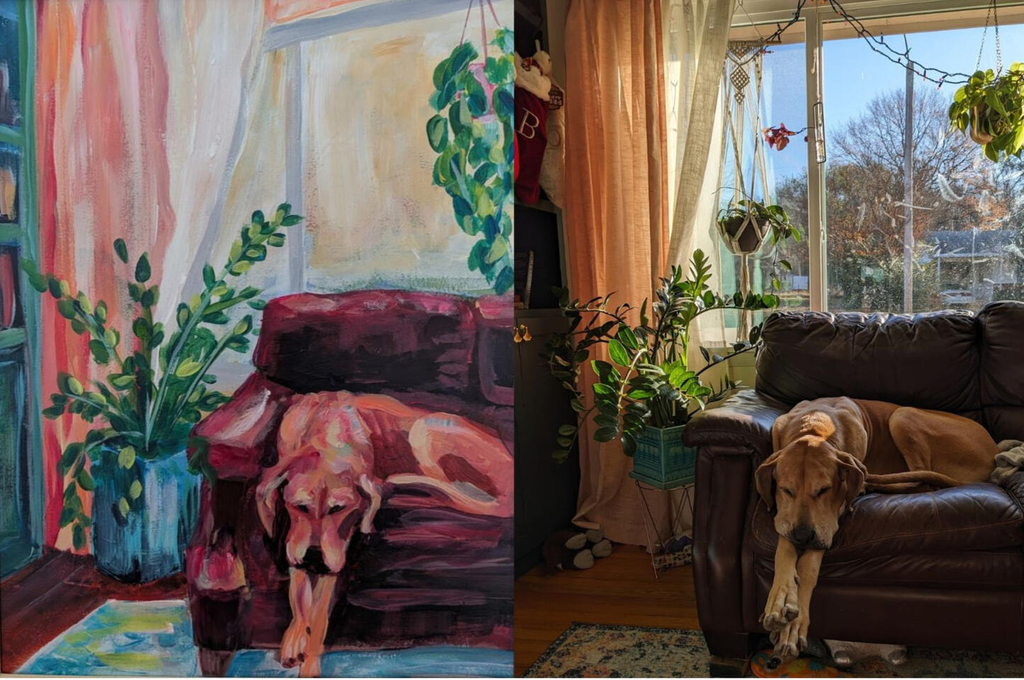 Gurl Great Dane